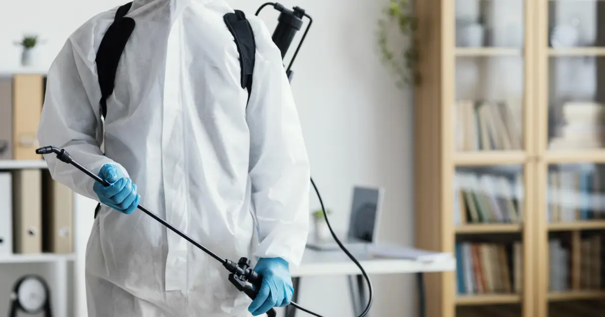 Importance of Professional Pest Control Services
