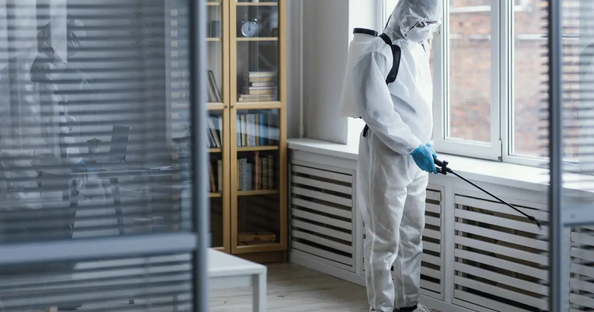 Understanding Pest Control and Its Necessity