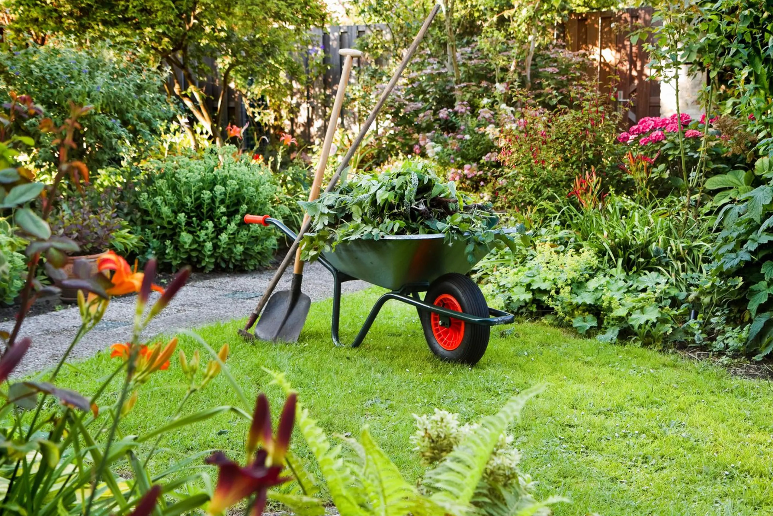 garden cleaning brisbane