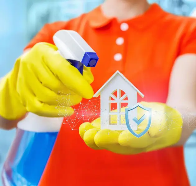 Impacts of Professional House Cleaning