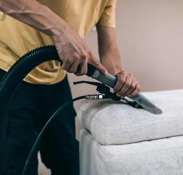 Advantages of Choosing Professional Upholstery Cleaners