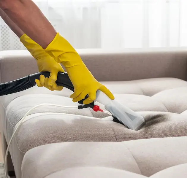 Benefits of Ozclean's Upholstery Cleaning Services