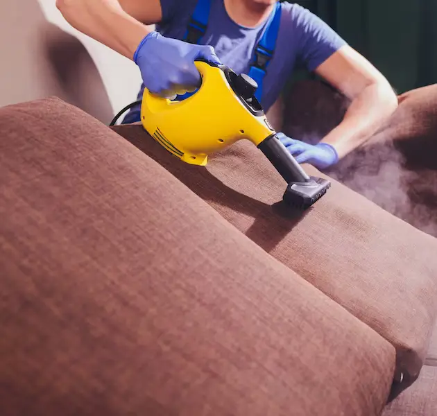 Top-Rated Upholstery Cleaning