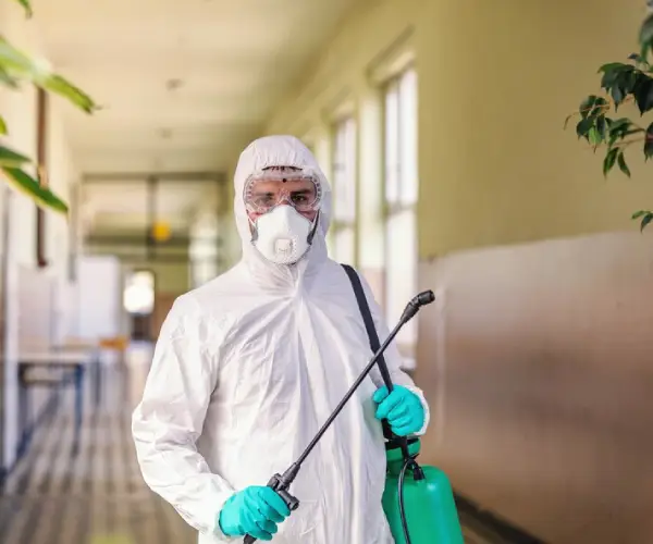 Expert Pest Control Professionals