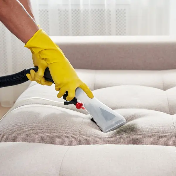 Professional Upholstery Cleaning Service: Revive Your Furniture's Beauty