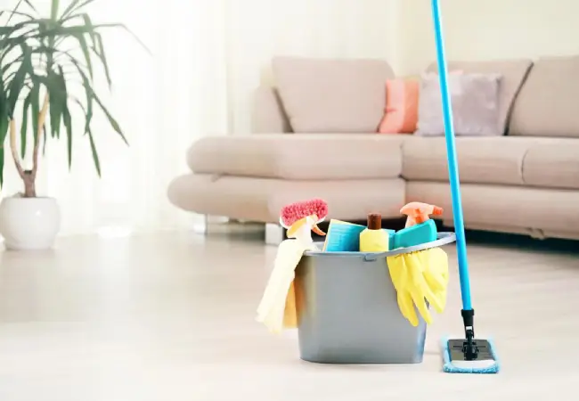 Cleaning Product Safety