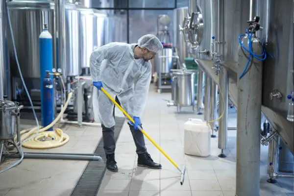 How the Ozclean Process Works