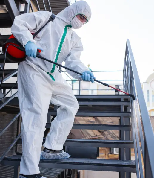 Expert Pest Control Services in Miami