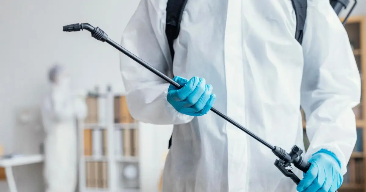 Getting Your Home Ready for Pest Control Services