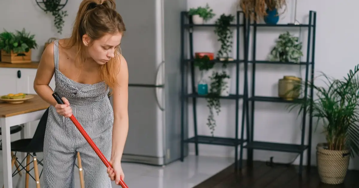 OzClean team professionally cleaning an office carpet