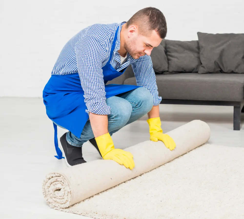 Upholstery Cleaning in Wollongong