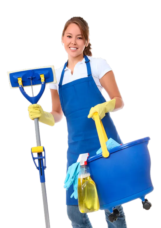 cleaning professional;
