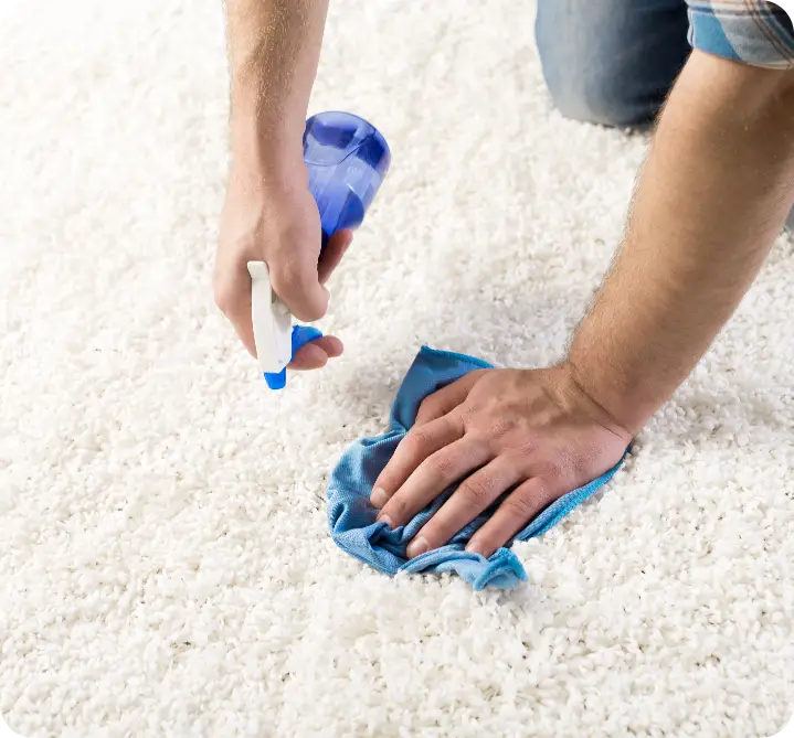 carpet cleaning 1