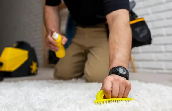 carpet cleaning