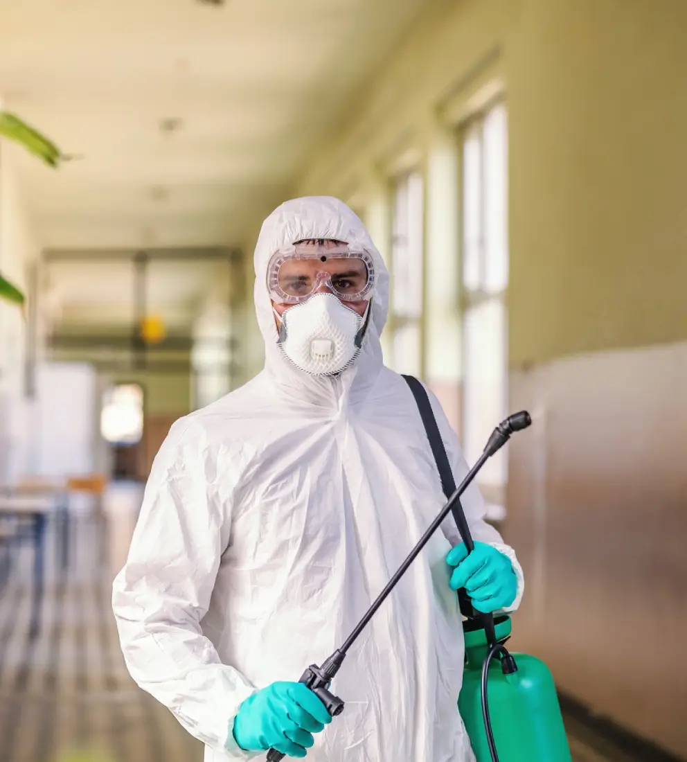 pest control 2