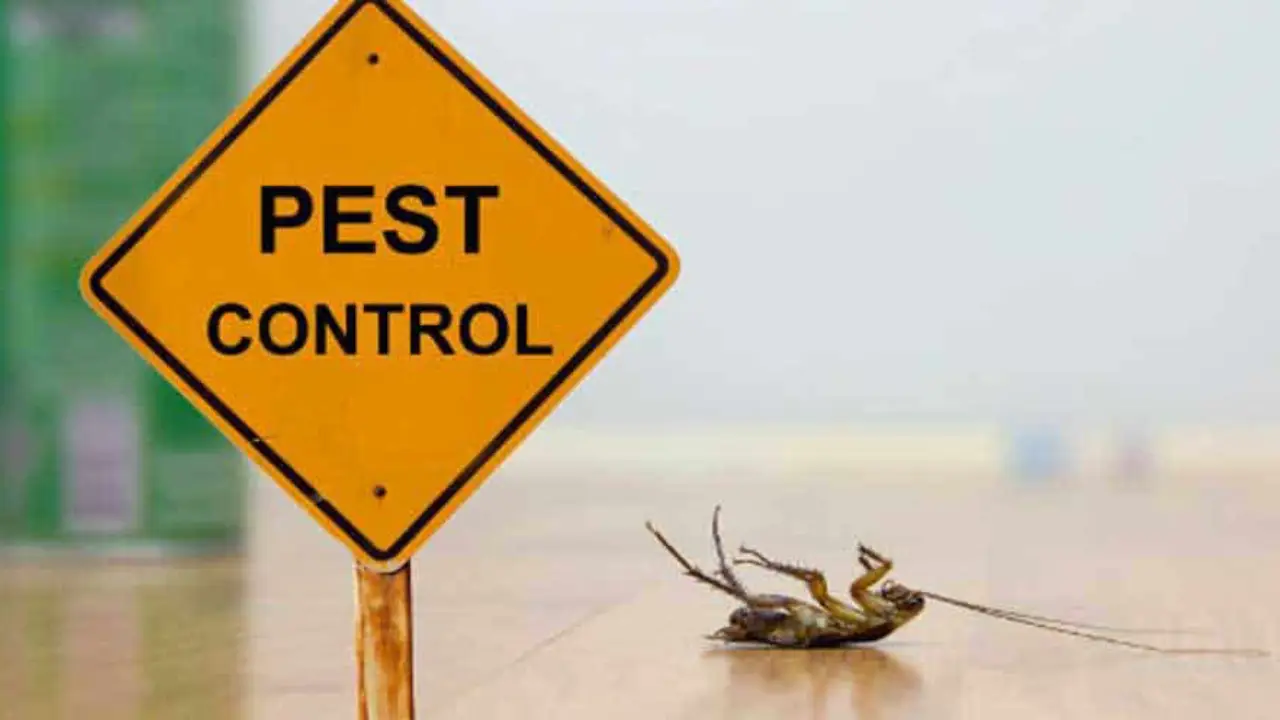 Blog 4 04072020 pest control