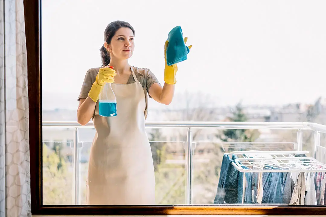 Blog 6 12012021 window cleaning checklist