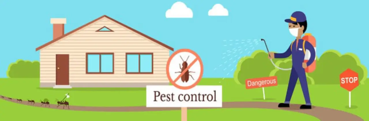 Blog 7 27072020 pest control