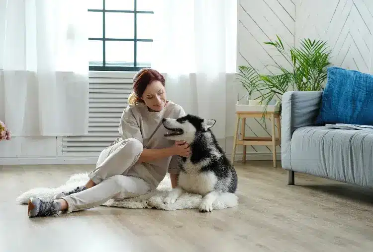 5 Tips To Remove Pet Hair From Carpets 6 5 Tips To Remove Pet Hair From Carpets