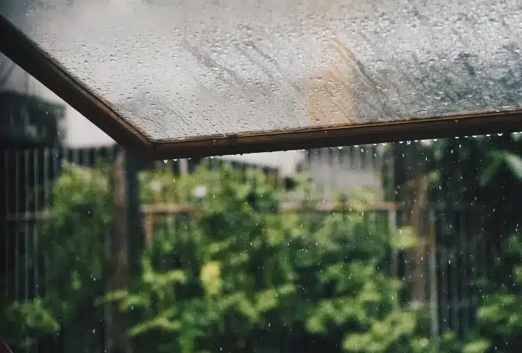 Natural Ways To Control Moisture During Heavy Rain 5 Natural Ways To Control Moisture During Heavy Rain