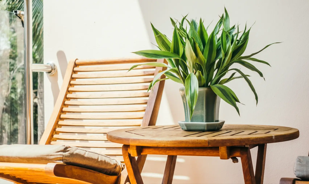 6 Tips To Protect Your Wooden Furniture During Heavy Rain 6 image 250