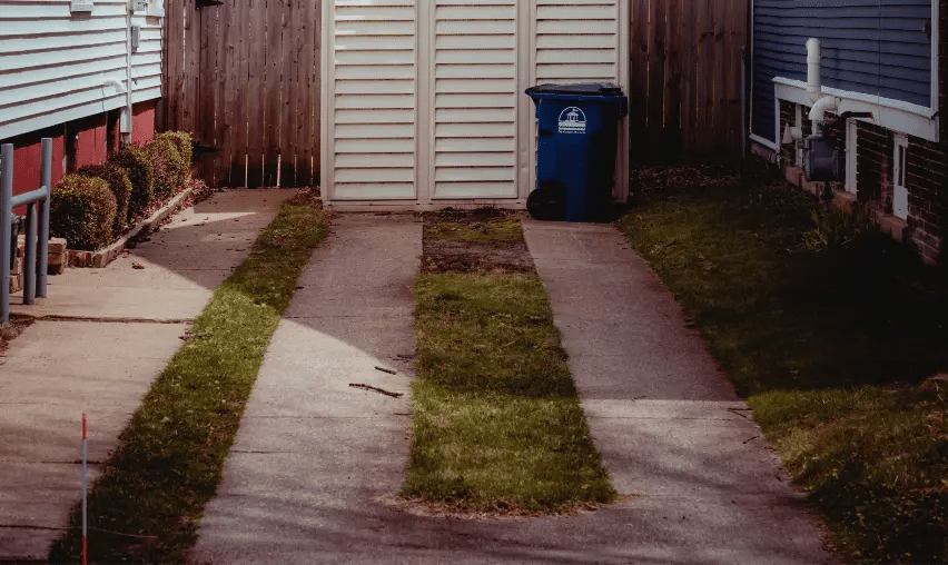 image 45
