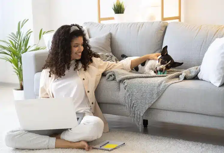 Tips to Clean & Reduce Pet Hair in Your Home 2 tip to reduce pet hair