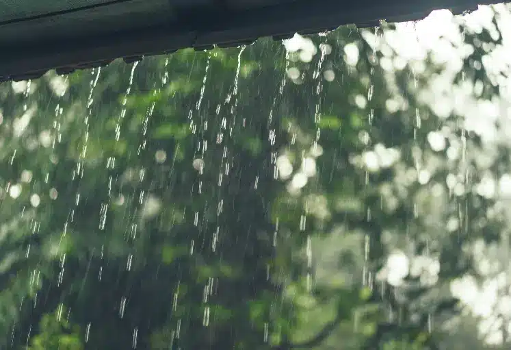 Tips To Keep Your Home Clean During The Rainy Days 1 tips to keep your home