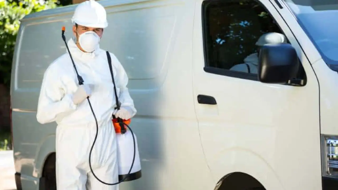 Blog – Bond Cleaning Services | Professional House Cleaners | ozclean Cleaning 7 blog thumbnail