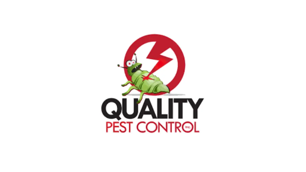 QUALITY PEST CONTROL AT BRISBANE – Bond Cleaning Services | Professional House Cleaners | ozclean Cleaning 1 blog thumbnail