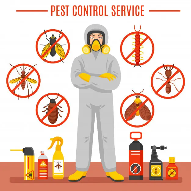 Top 10 symptoms of termite infestation – Bond Cleaning Services | Professional House Cleaners | ozclean Cleaning 3 blog thumbnail