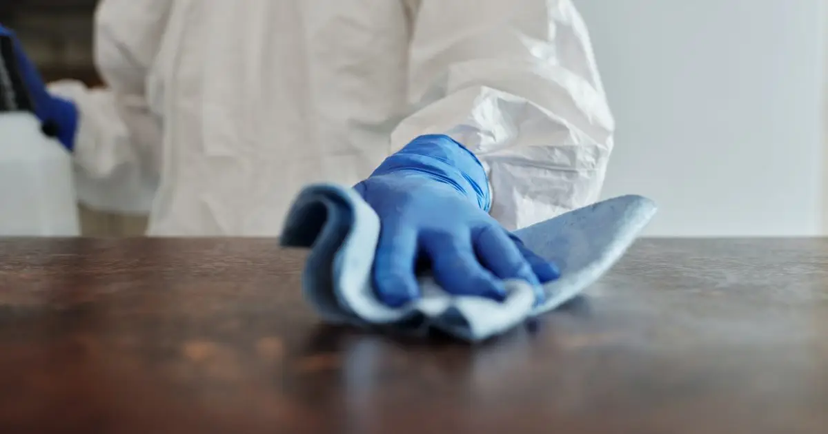 Blog – Bond Cleaning Services | Professional House Cleaners | ozclean Cleaning 10 blog thumbnail