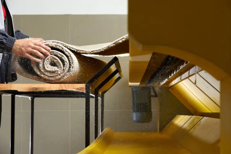 Getting Rid Of Vomit Stains From Your Carpets And Rugs Will Be Easy Now With These Methods. – Bond Cleaning Services | Professional House Cleaners | ozclean Cleaning 3 blog thumbnail