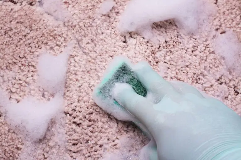 Getting Rid Of Vomit Stains From Your Carpets And Rugs Will Be Easy Now With These Methods. – Bond Cleaning Services | Professional House Cleaners | ozclean Cleaning 4 blog thumbnail