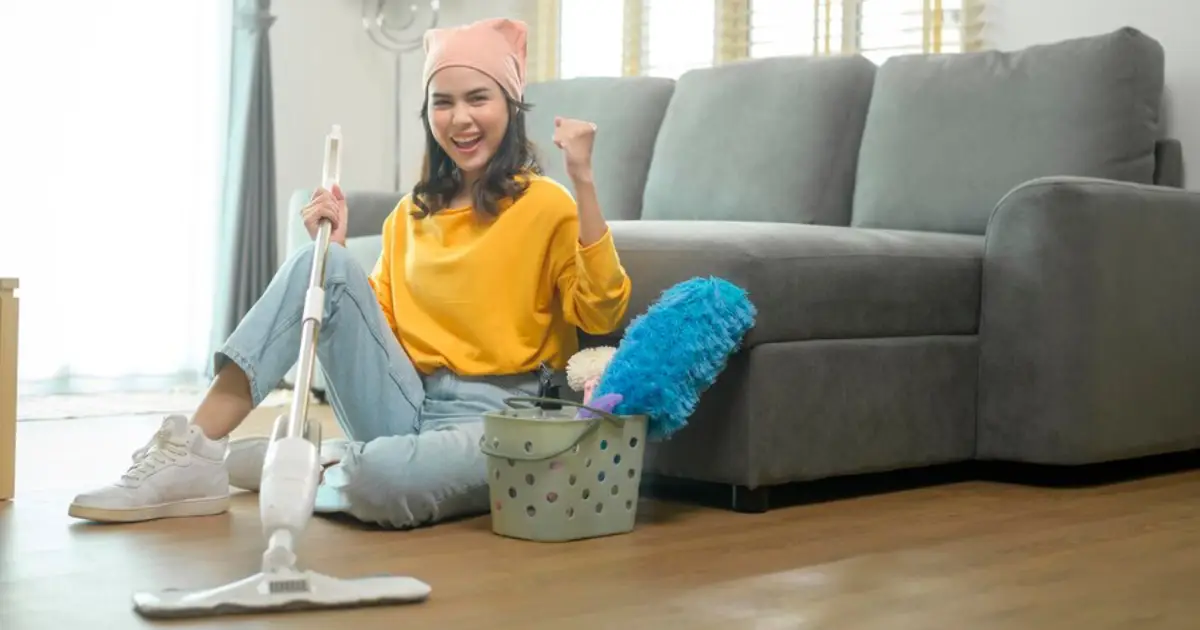 All Season Cleaning: Tips and Tricks for Year-Round Freshness 3 Cleaning supplies categorized for all-season use