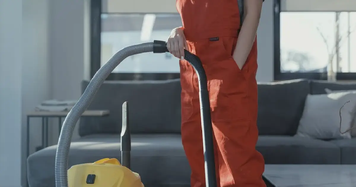 Blog - Best Cleaning Service 28 Upholstery Cleaners Worth