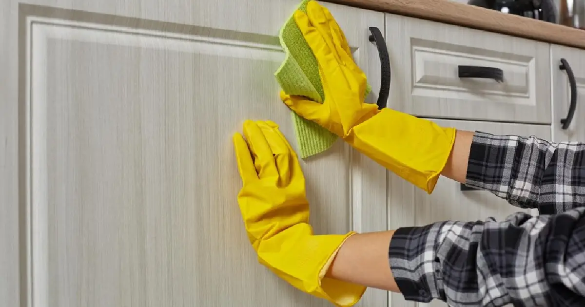 Blog - Best Cleaning Service 22 Upholstery Cleaners Worth