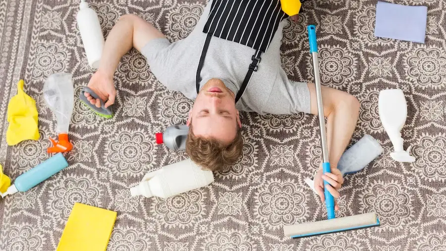 Eco-Friendly Carpet Cleaning: A Guide to Sustainable Practices 4 Natural DIY carpet stain removal