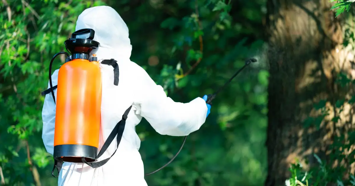 Protect Your Property: Understanding the Importance of Timely Pest Control 7 Economic and Environmental Impact of Effective Pest Control