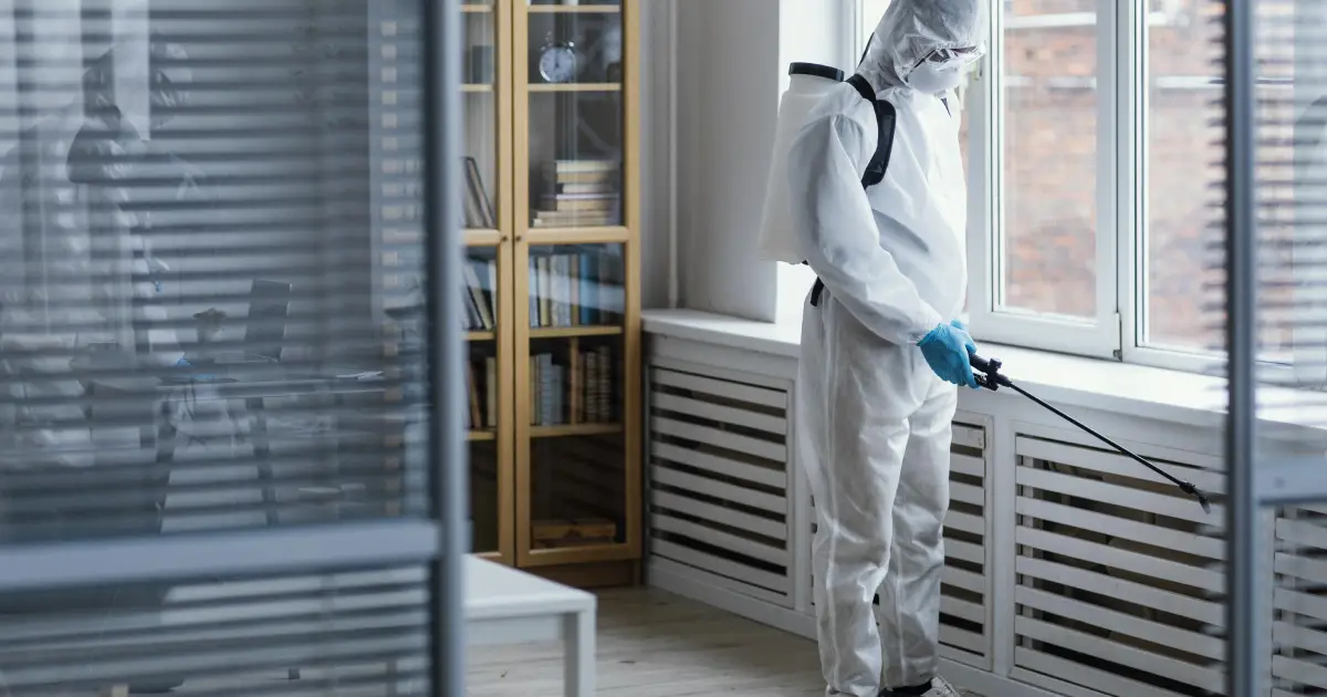 Protect Your Property: Understanding the Importance of Timely Pest Control 4 Understanding Pest Control and Its Necessity
