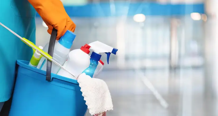 Importance of Regular Carpet Cleaning in Gold Coast - ozclean 7 Insightful visual guide to maintaining carpet hygiene by ozclean