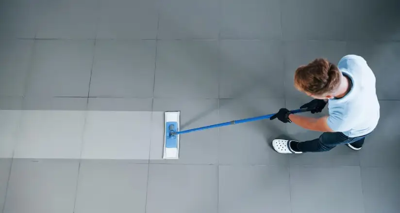Effective Methods to Get Rid of Bed Bugs - Ozclean Gold Coast 8 Individual cleaning floors and walls meticulously to keep bed bugs at bay