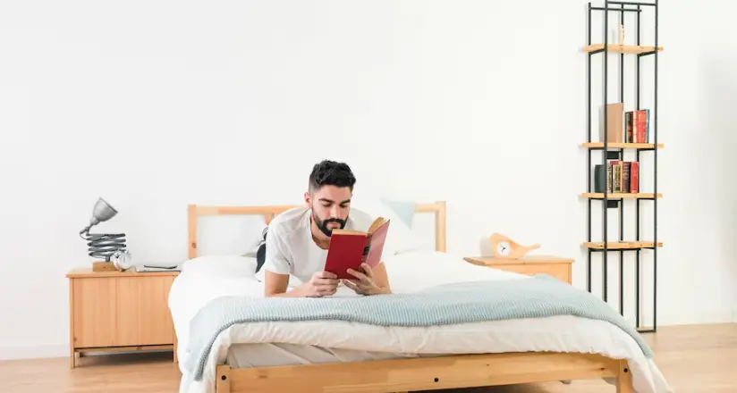 Effective Methods to Get Rid of Bed Bugs - Ozclean Gold Coast 3 Image showcasing a bedroom properly treated and prepared to create a bed bug-free zone