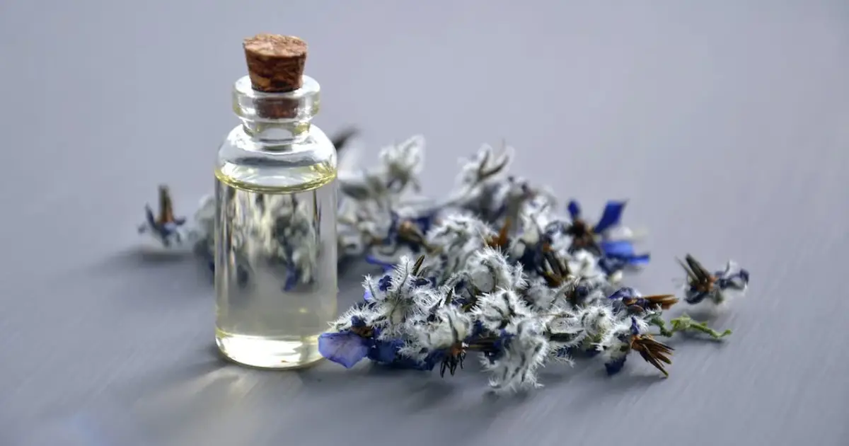 How to Get Rid of Houseflies: Eco-Friendly and Safe Methods 4 yhumbnail