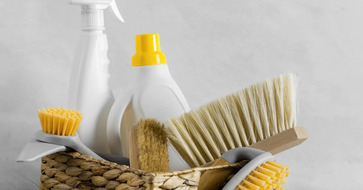The Role of Technology in Professional Bond Cleaning Services 1 Professional Bond Cleaning Services