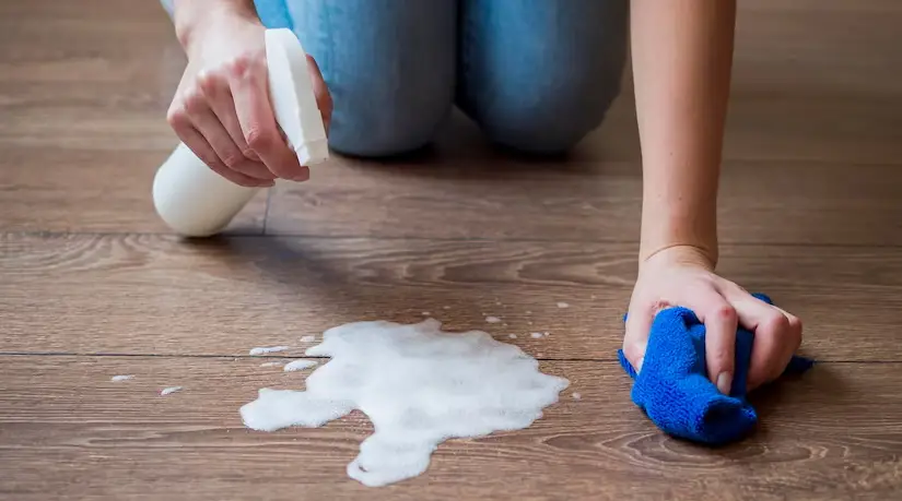 How to Get Urine Smell Out of Couch: A Guide to Removing Cat, Dog, and Human Urine Odor 2 Cleaning products specifically used for getting urine smell out of couches
