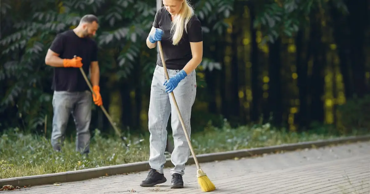 Sunshine Coast Cleaning Tips and News | Ozclean Blog 15 blog thumbnail