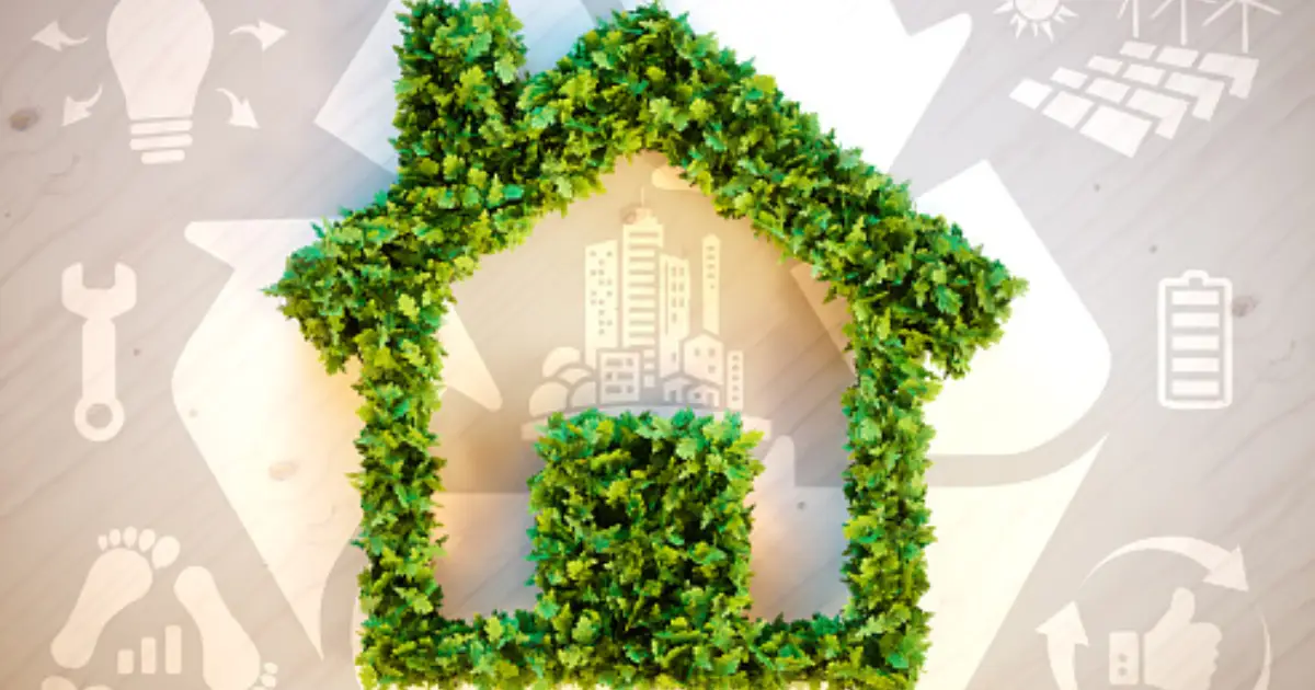 Sunshine Coast Cleaning Tips and News | Ozclean Blog 17 blog thumbnail
