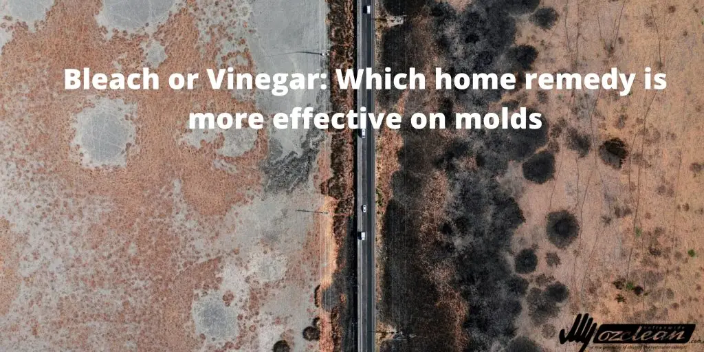 Top Cleaning Tips for a Spotless Home | Ozclean Sunshine Coast 31 blog thumbnail