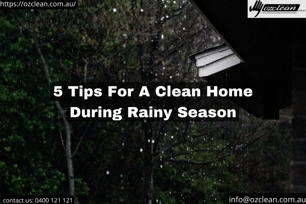Page 3 - Sunshine Coast Cleaning Tips and News | Ozclean Blog 7 blog thumbnail
